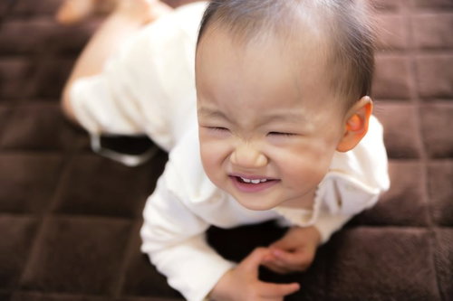 ハイハイしながら泣きじゃくる赤ちゃん