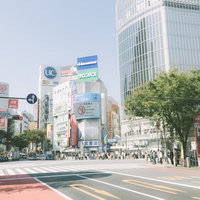 渋谷駅前のスクランブル交差点を行き交う人々の写真