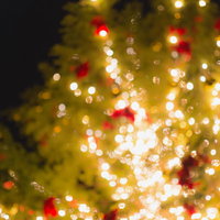 赤と金色のライトが点灯をはじめたクリスマスツリーの写真