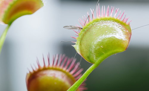 キャセイパシフィック機が空港スポットで駐機中