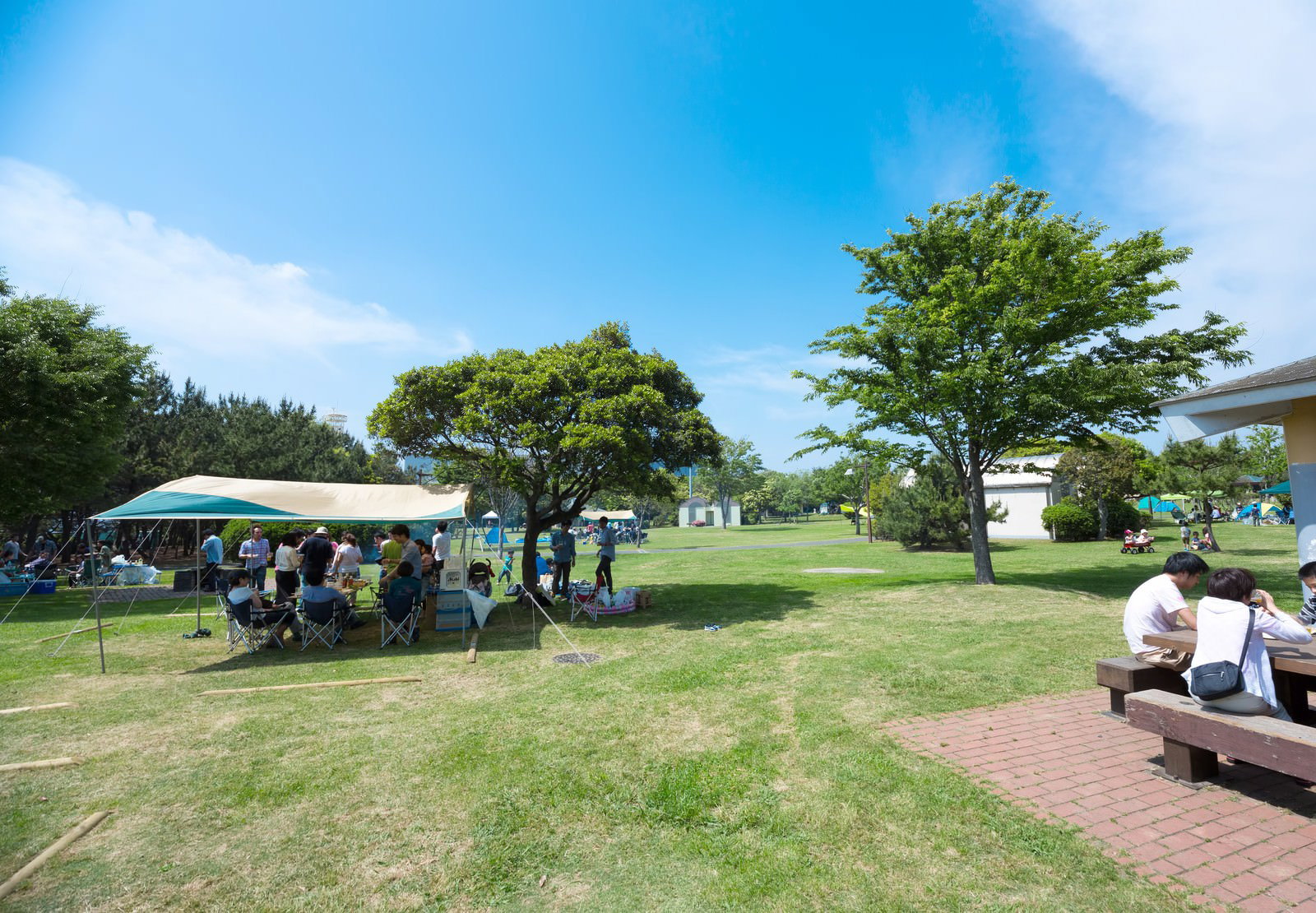 芝生でBBQを楽しむ家族