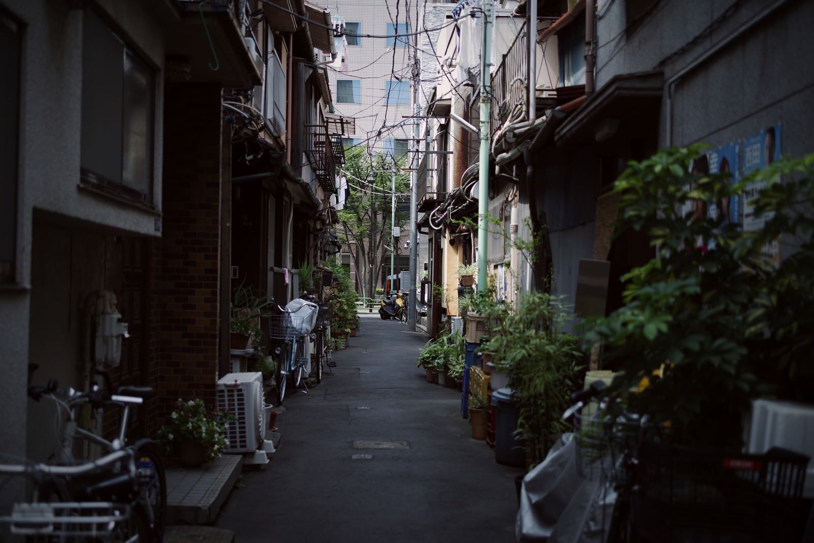 月島の昭和レトロな雰囲気の路地裏に古い民家が立ち並ぶ風景