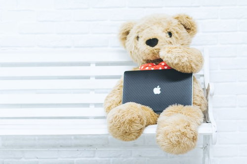 ぬいぐるみ界のトップエンジニア、ノートパソコンで休憩中