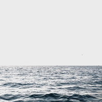 沖合の穏やかな波が続く海の写真