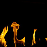 黒背景に立ち上がる炎とメラメラ燃える火のの写真