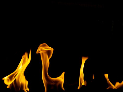 黒背景に立ち上がる炎とメラメラ燃える火の