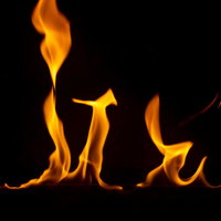 黒背景に燃え始める炎の炎の表現、メラメラと燃え上がる炎の写真