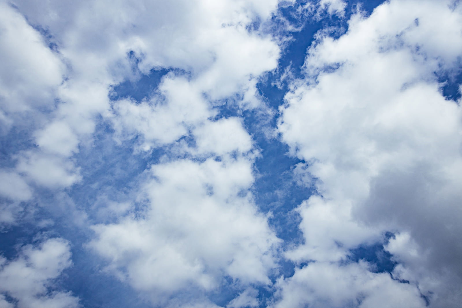 青空に浮かぶ白くてふわふわした積雲