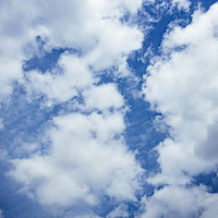 青空に浮かぶフワフワの積雲の綿雲風景の写真