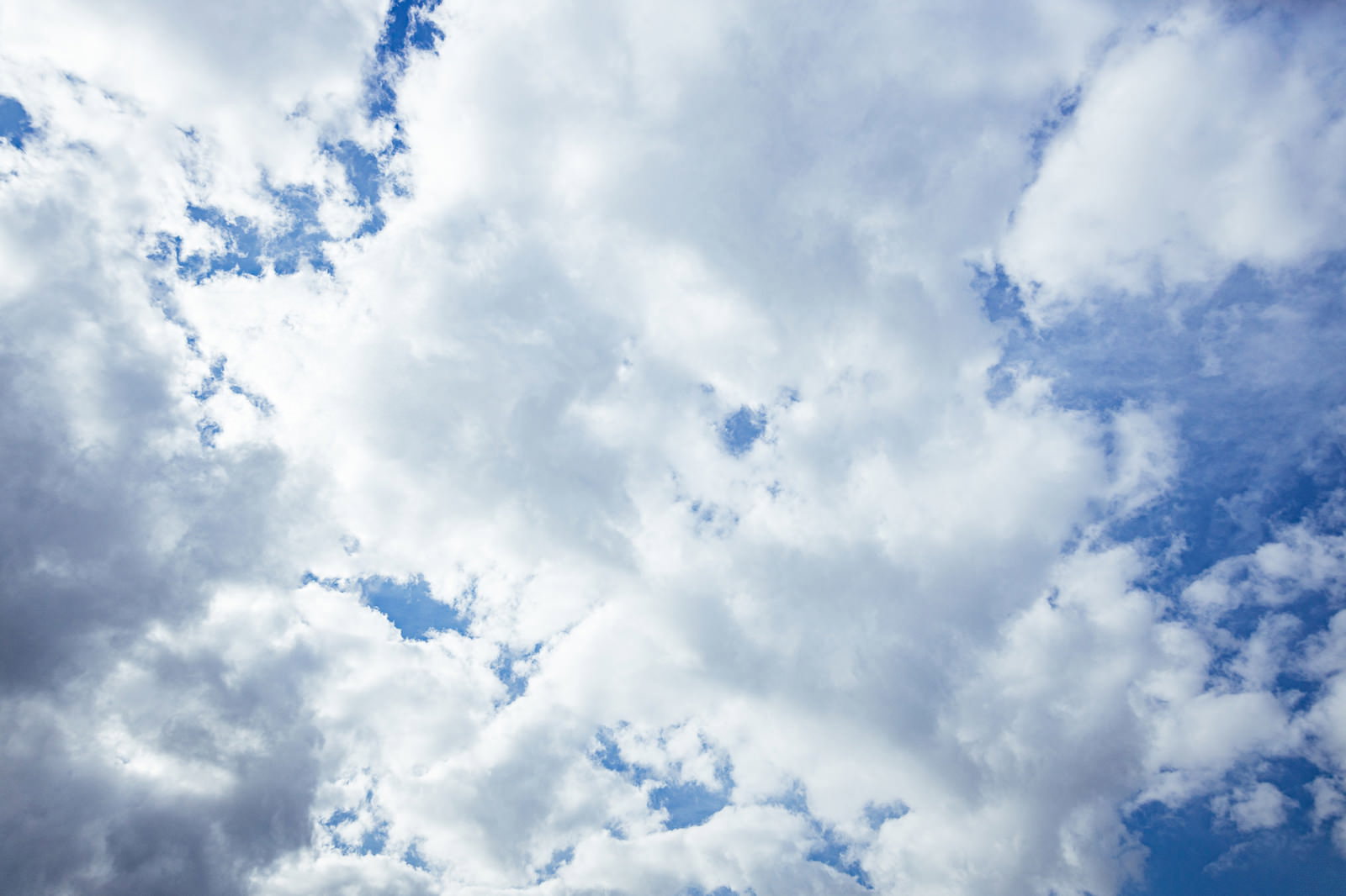 青空に浮かぶ白い積雲が立体的に広がっている様子