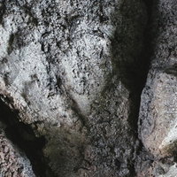 荒々しいコンクリートのひび割れテクスチャーの写真