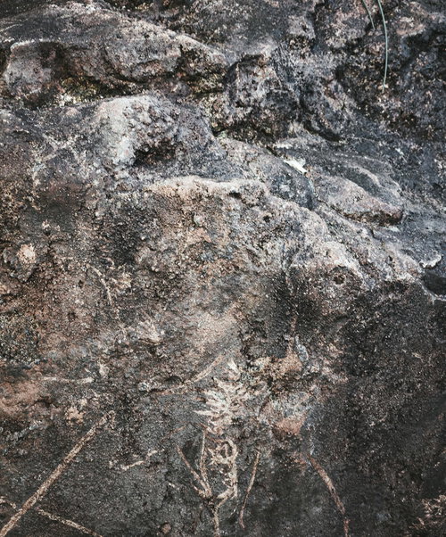 巨石の角に見る粗い岩肌のゴツゴツとしたテクスチャー