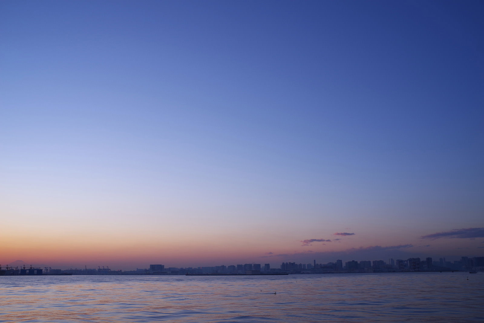 オレンジ色の夕焼け空の下、海沿いに立ち並ぶビル群のシルエット