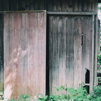 荒廃した無人の住宅と朽ちた板戸、風化した木製扉と緑のツタの写真