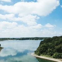 天気のよい多摩湖の水面に映る青空と周囲の緑の景観の写真