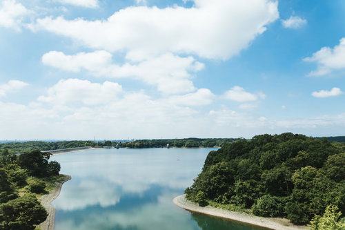 天気のよい多摩湖の水面に映る青空と周囲の緑の景観