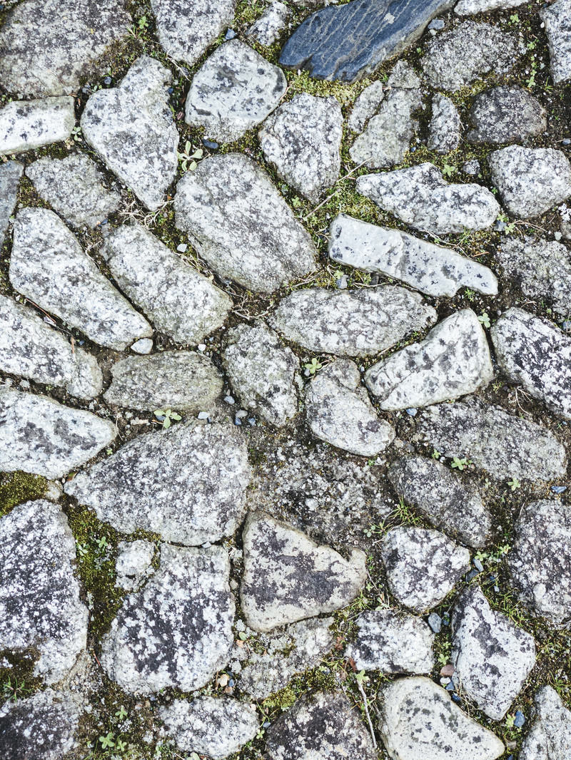 石の隙間から緑色の苔が生えている古い石畳の表面