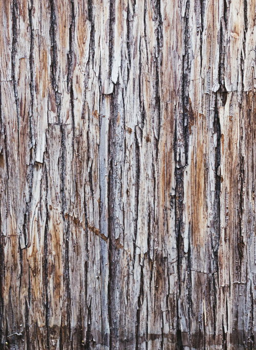 何枚も張り合わされた樹皮の縦縞テクスチャー