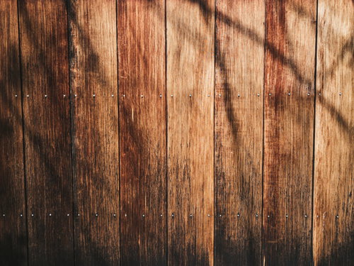 枝の影が映り込む板壁のテクスチャー