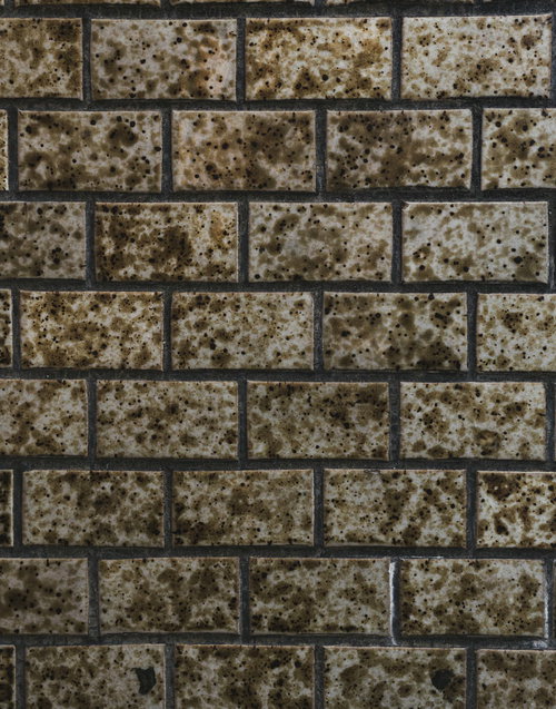 タイル壁一面に広がる汚れとカビのテクスチャー