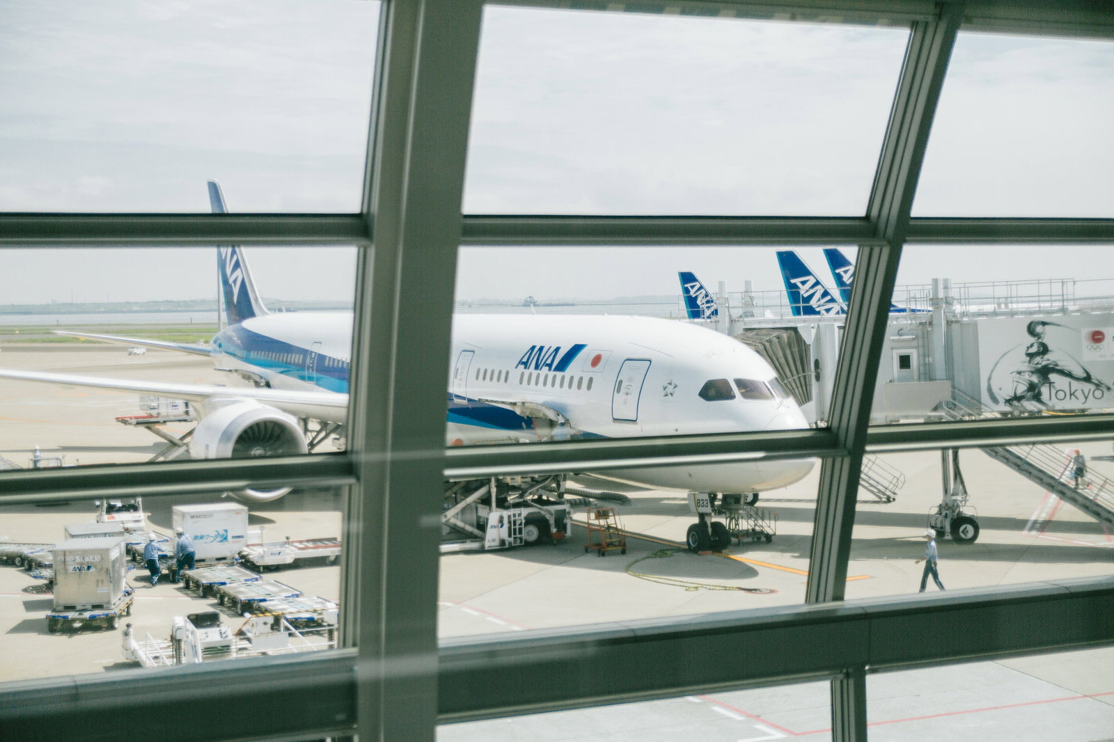ターミナル窓から見える白と青の旅客機と駐機場の風景