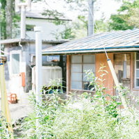 田舎の裏道に生い茂る雑草と昭和の古い建物の写真