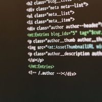 MTでコーディングするプログラマーのモニターの写真
