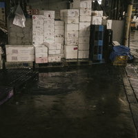 築地市場に山積みされた発泡スチロール容器の写真