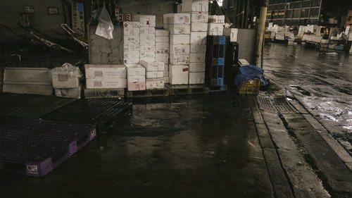 築地市場に山積みされた発泡スチロール容器