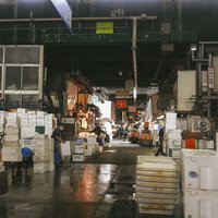 狭隘化が著しい築地市場内の卸売場の作業風景の写真