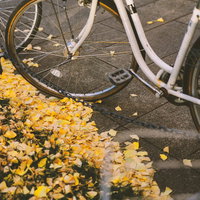 駅前に放置された自転車と銀杏の落ち葉が積もる秋風景の写真