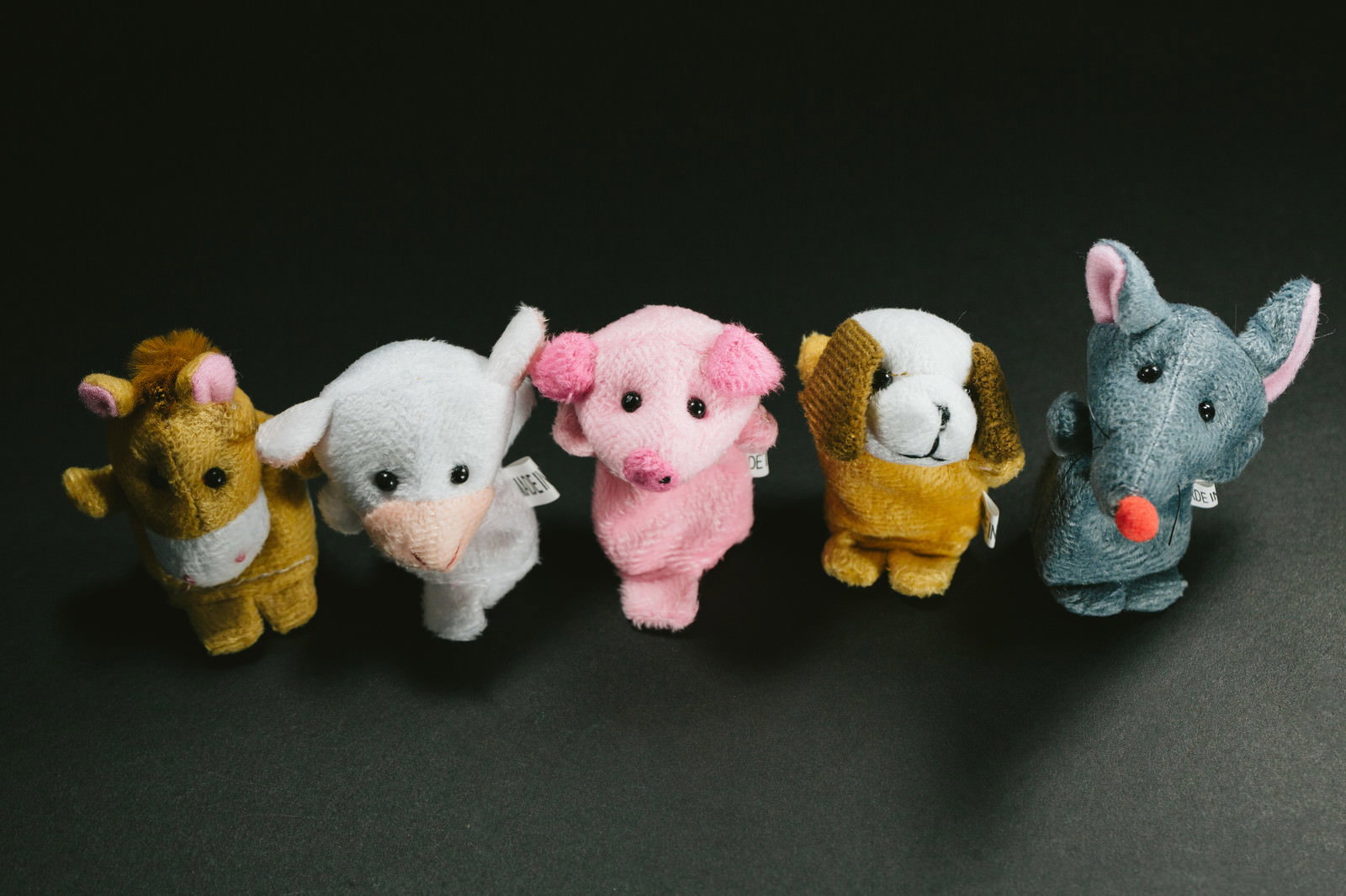 暗いグレーの背景に並ぶ動物のぬいぐるみ5体