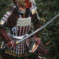 笹原で待ち構える赤い甲冑の侍が日本刀を手に構えるの写真