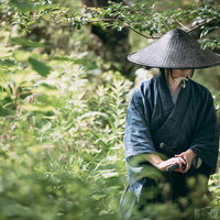 藪の中で網代笠を被る武士の隠密姿態の写真