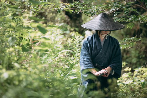 藪の中で網代笠を被る武士の隠密姿態