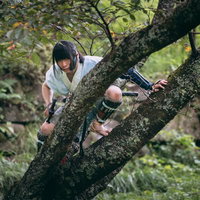 木の上に身を潜める野盗の男性の写真