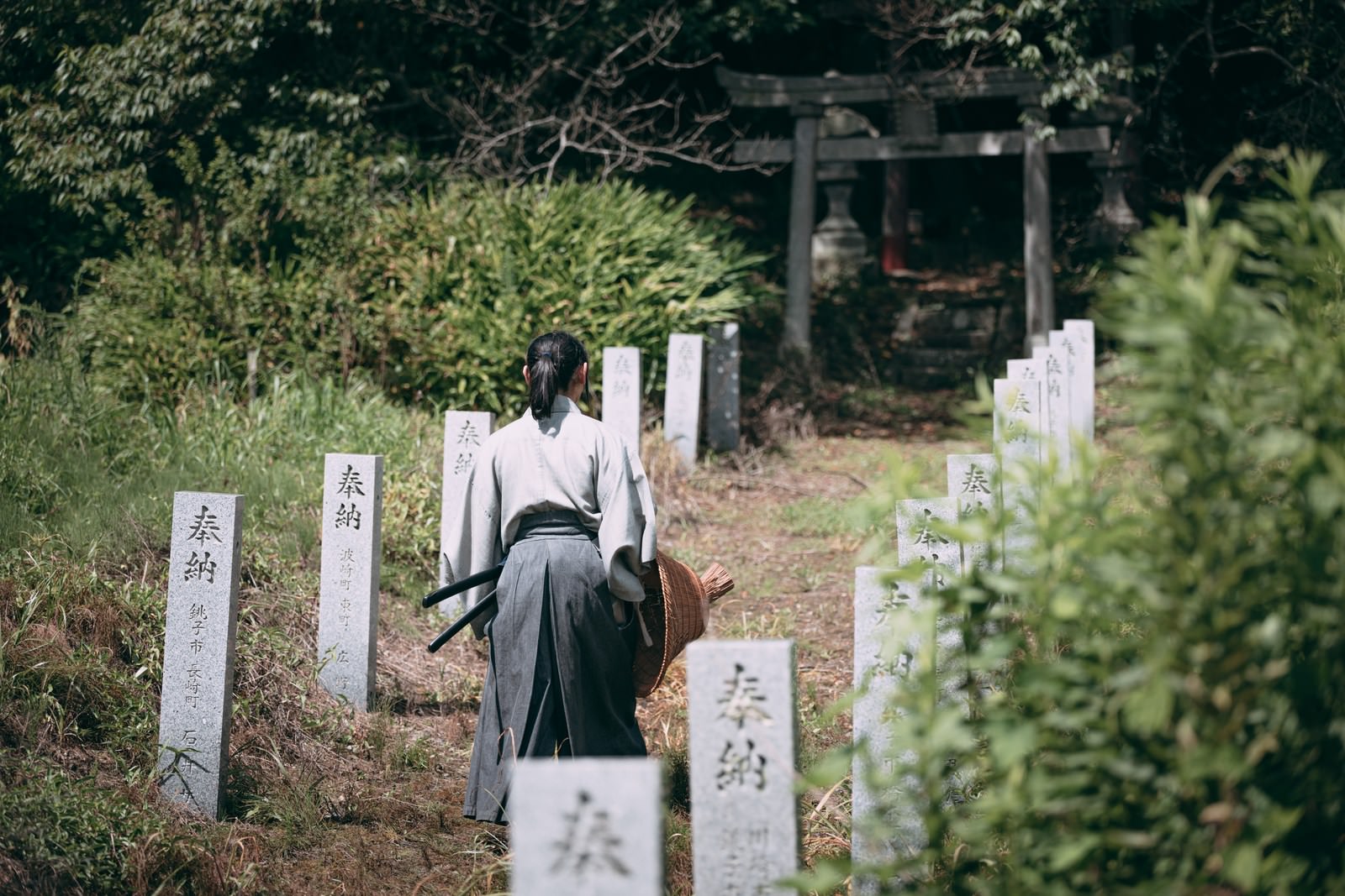 奉納石柱が並ぶ神社の参道を袴姿で歩く男性の後ろ姿［モデル：まーこ］