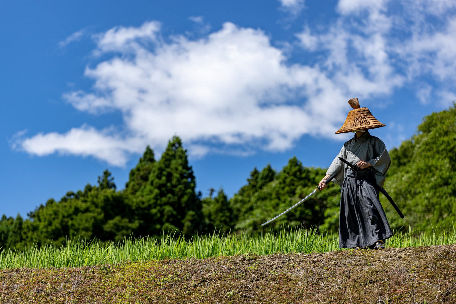 青空の下、田んぼの畔で日本刀を構える笠と袴姿の武士［モデル：まーこ］