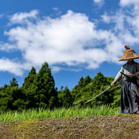 青空の田園で刀を振るう笠姿の武士の写真