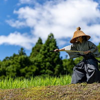 田んぼの畔で抜刀する網代笠の武士の写真