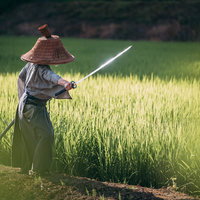 晴れた畦道で刀を抜く笠をかぶった侍の写真
