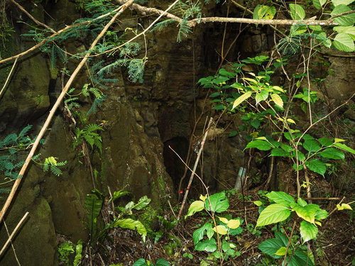 陸軍野砲陣地と戦車壕の間にある壕口