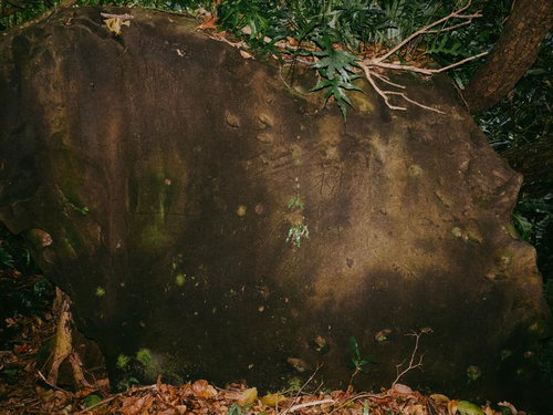 旧島民奥山邸跡地の土丹岩（松村陸軍軍曹が刻んだ松村の文字）