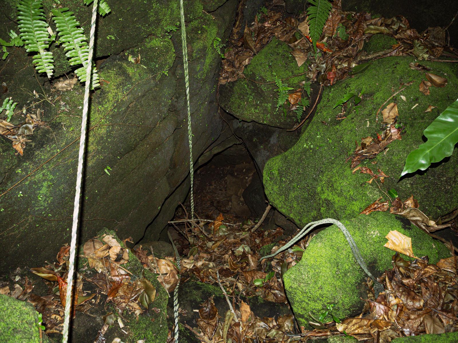 Entrance to the Sulphur Island Army Field Hospital bunker surrounded by moss-covered rocks