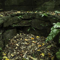 落ち葉に埋もれゆく第204設営隊の釜場跡の写真