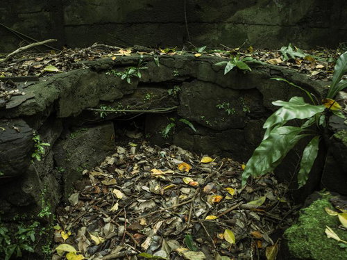 落ち葉に埋もれゆく第204設営隊の釜場跡