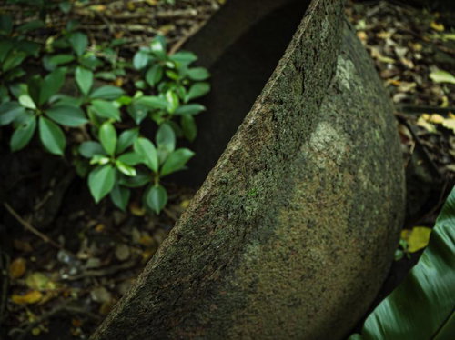 風化する釜場跡と芽吹く新しい命