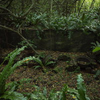 苔むす石垣と積もる落ち葉と釜場跡の静寂の写真
