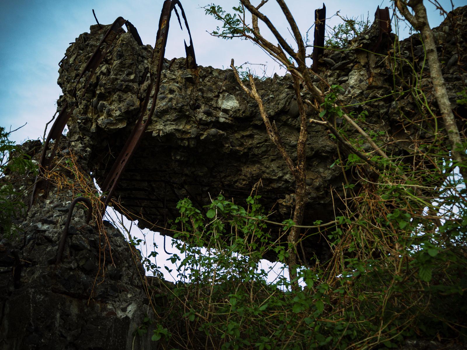 Collapsed concrete pillbox ruins overgrown with vines on Iwo Jima
