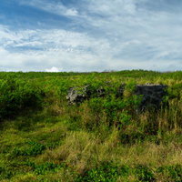 硫黄島南海岸に残る緑に覆われた戦時中のトーチカ跡の写真